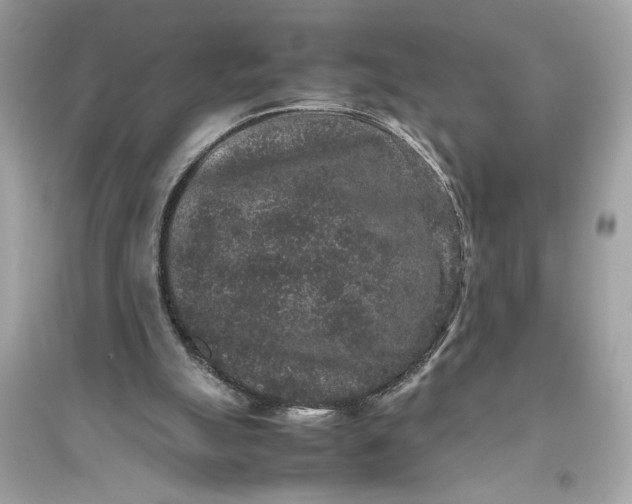 X0000094820055200711301639