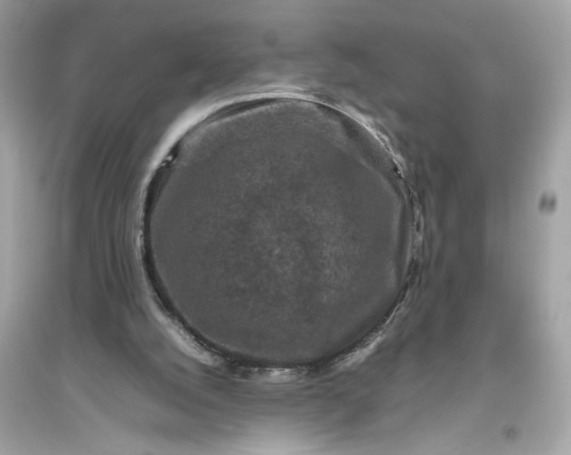 X0000094820056200711301639