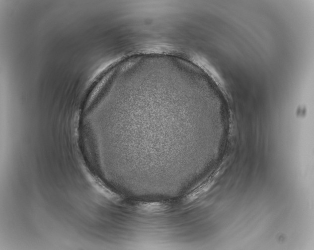 X0000094820058200711301639