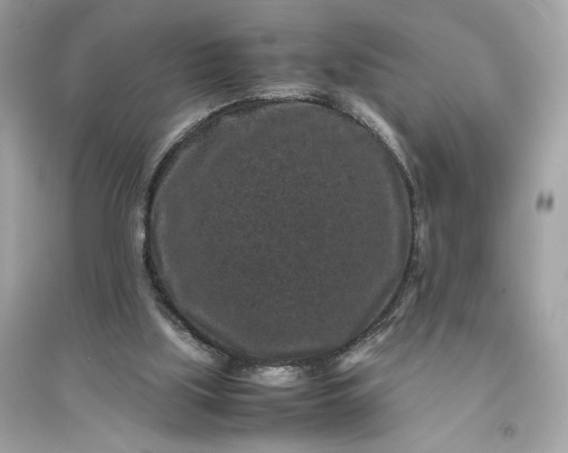 X0000094820059200711301639