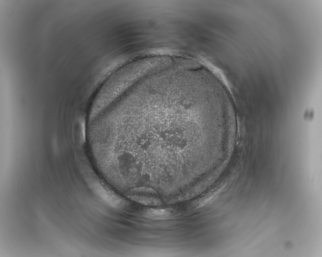 X0000094820061200711301639