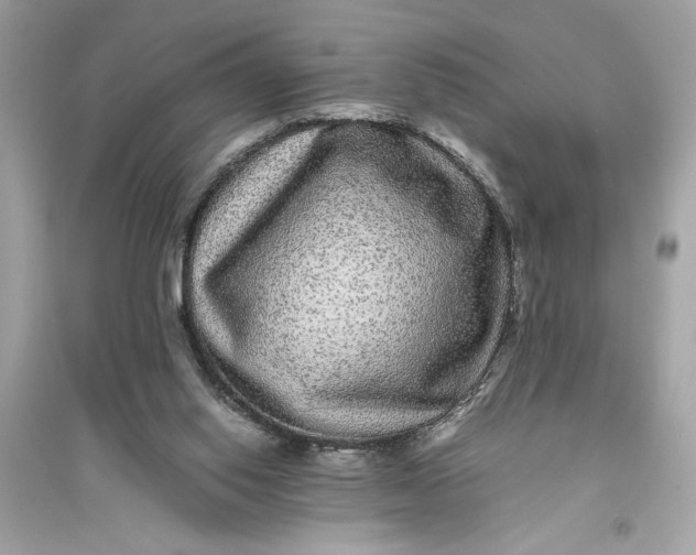 X0000094820062200711301639