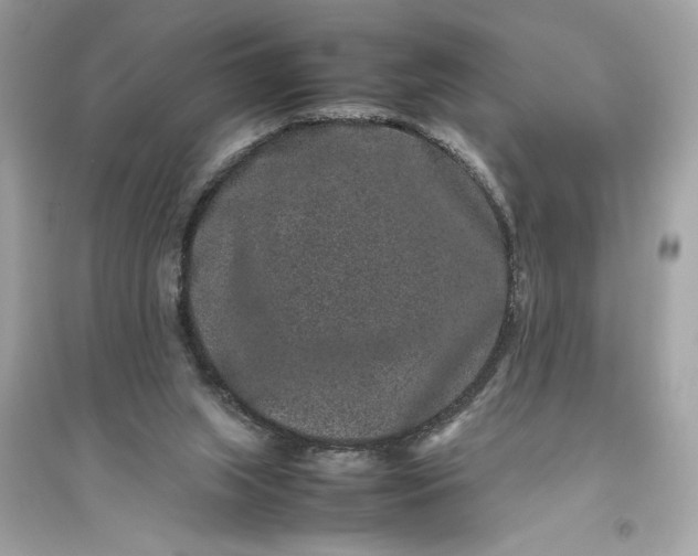 X0000094820063200711301639