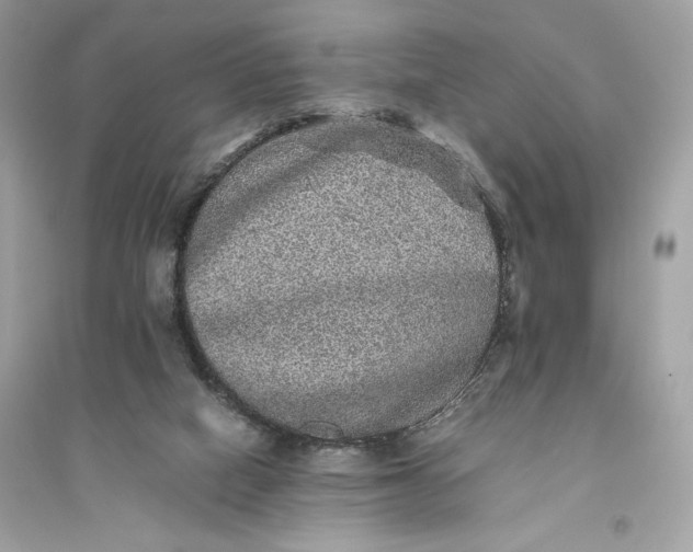 X0000094820066200711301639