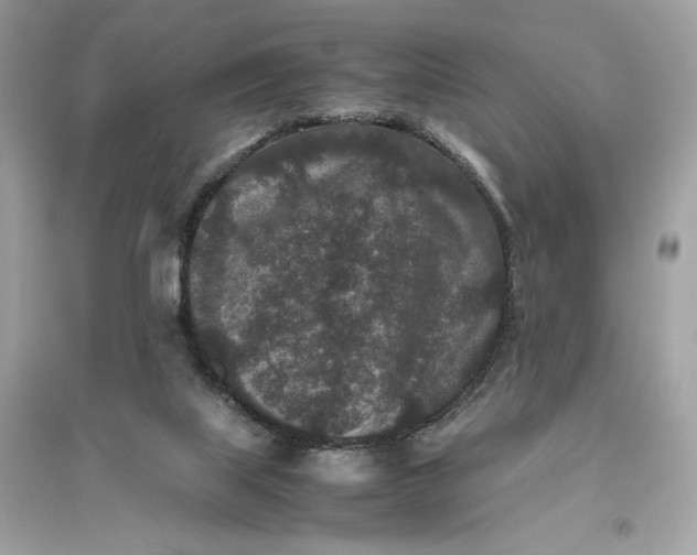 X0000094820067200711301639