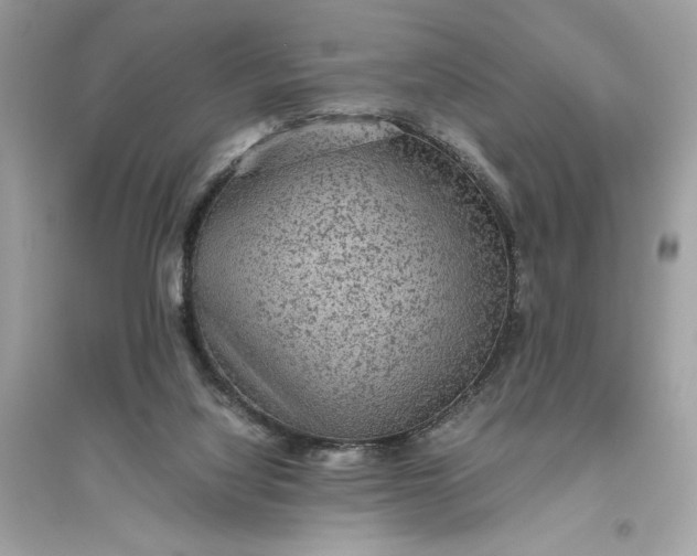 X0000094820068200711301639