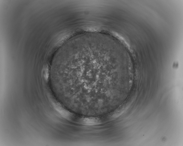 X0000094820069200711301639