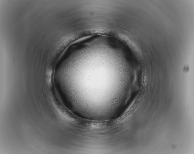 X0000094820070200711301639