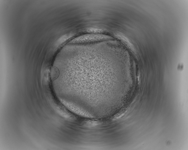 X0000094820071200711301639