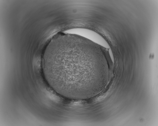 X0000094820072200711301639