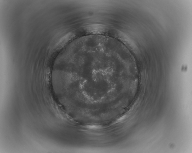 X0000094820073200711301639