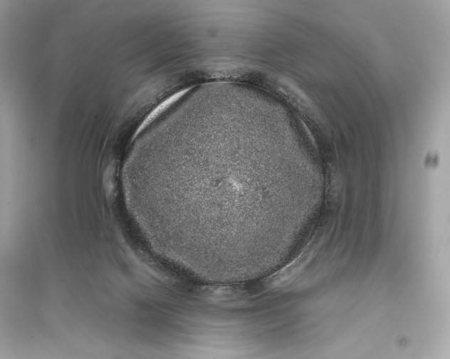 X0000094820074200711301639