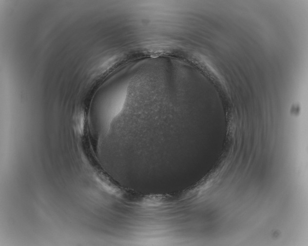 X0000094820076200711301639