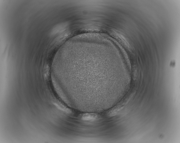 X0000094820077200711301639