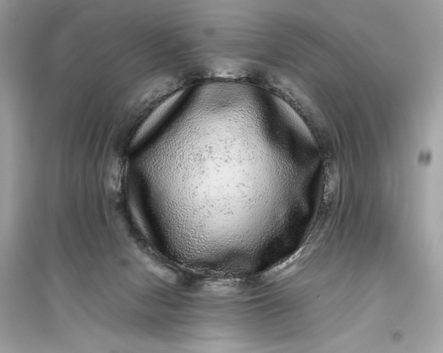 X0000094820078200711301639