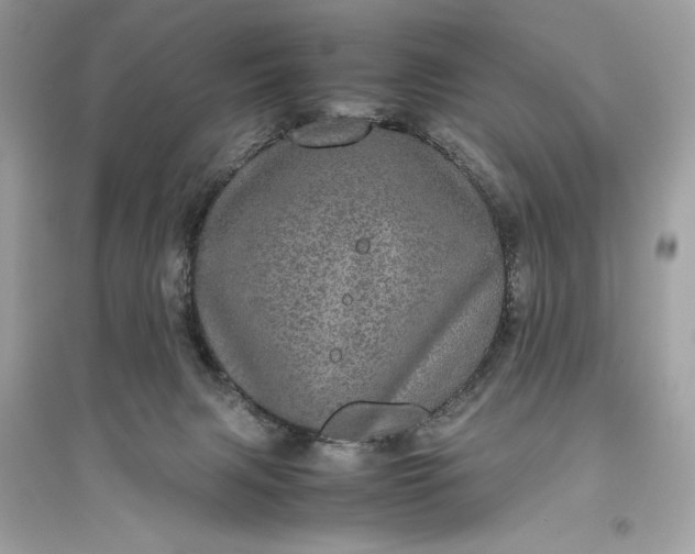 X0000094820079200711301639