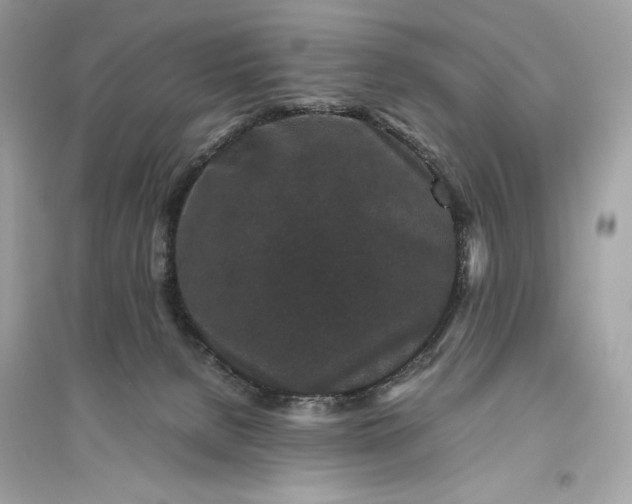 X0000094820080200711301639