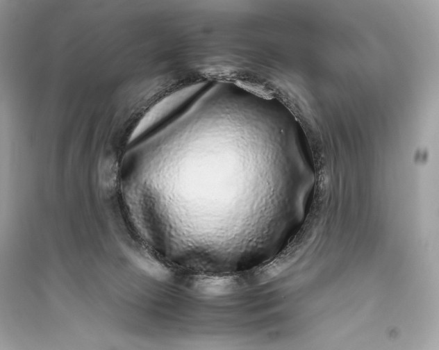 X0000094820081200711301639