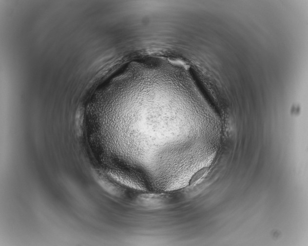 X0000094820082200711301639