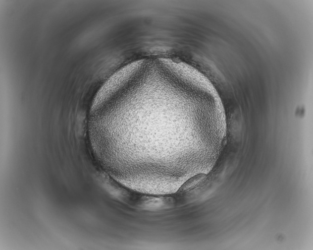 X0000094820083200711301639