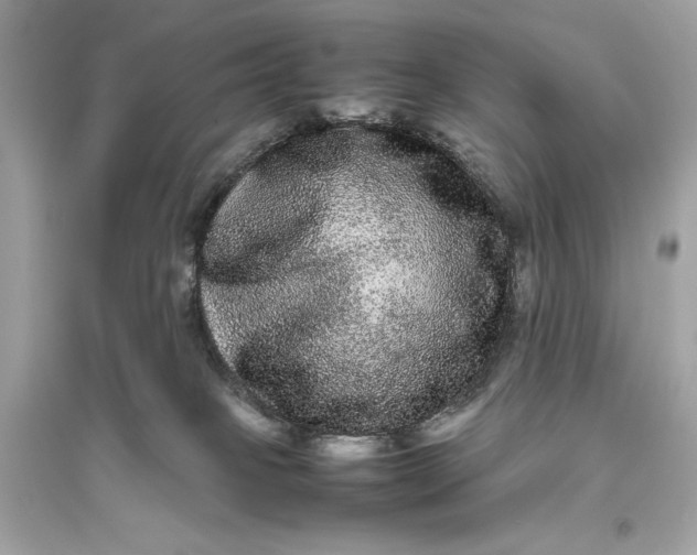 X0000094820085200711301639