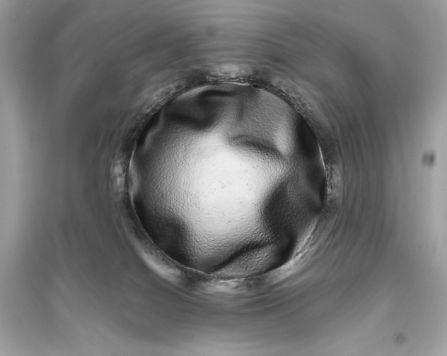 X0000094820086200711301639