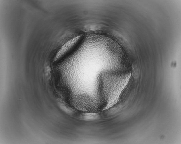 X0000094820087200711301639