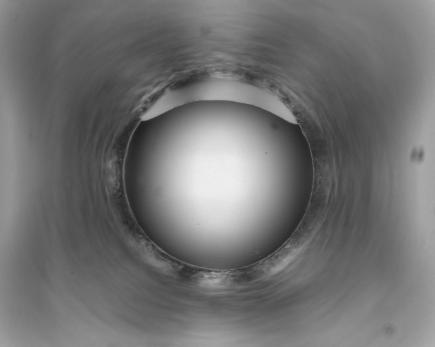 X0000094820088200711301639