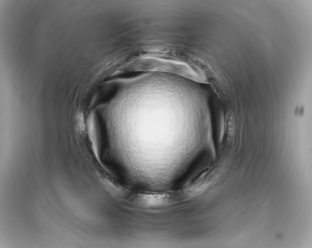 X0000094820089200711301639