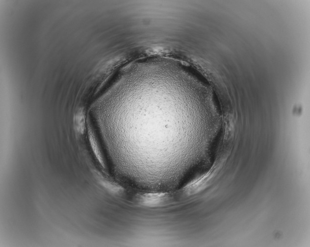 X0000094820090200711301639