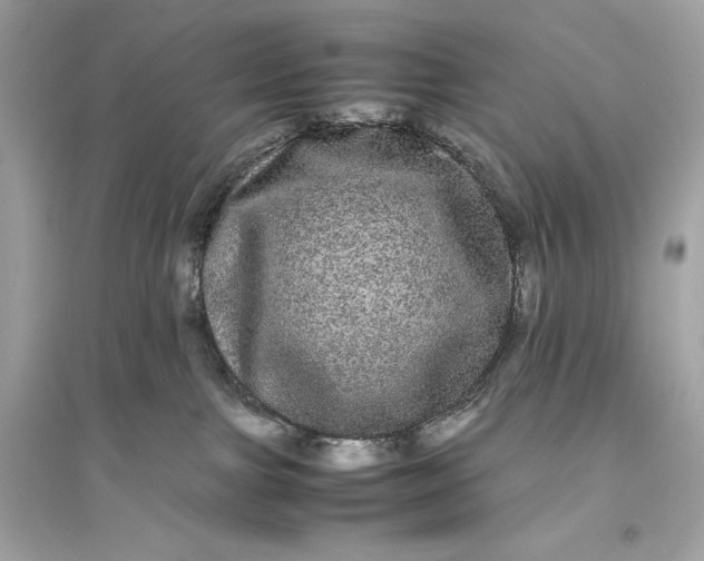 X0000094820091200711301639