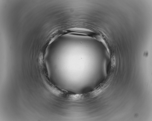 X0000094820092200711301639