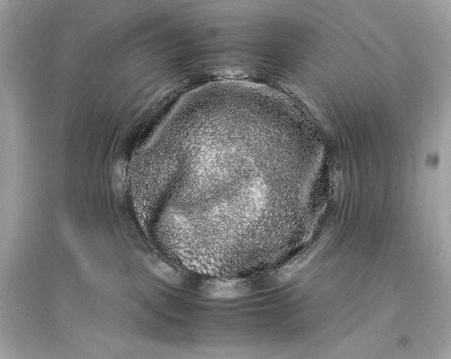 X0000094820093200711301639