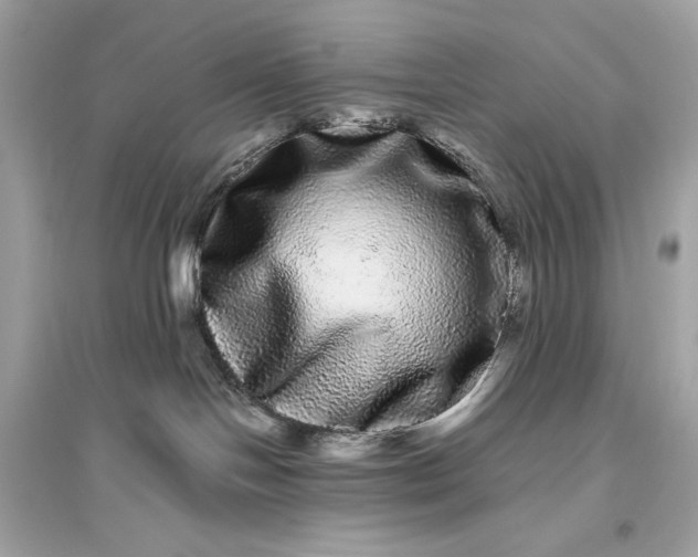 X0000094820094200711301639