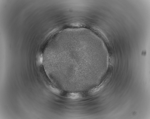 X0000094820095200711301639