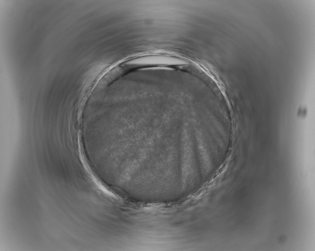 X0000094820097200711301638