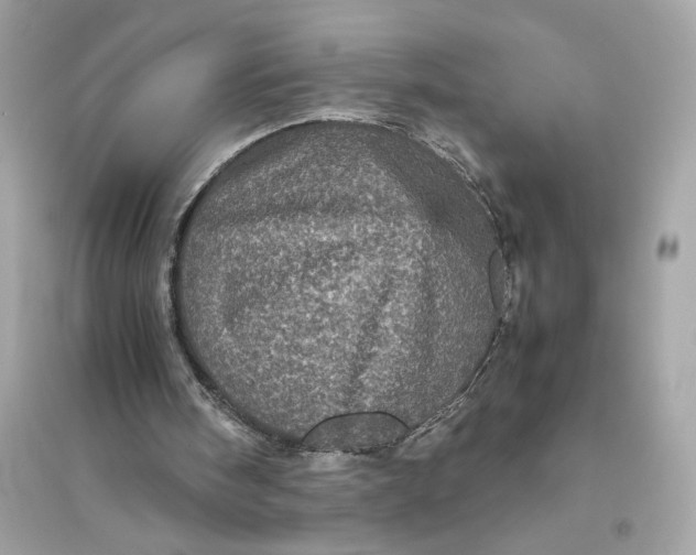 X0000094820098200711301638