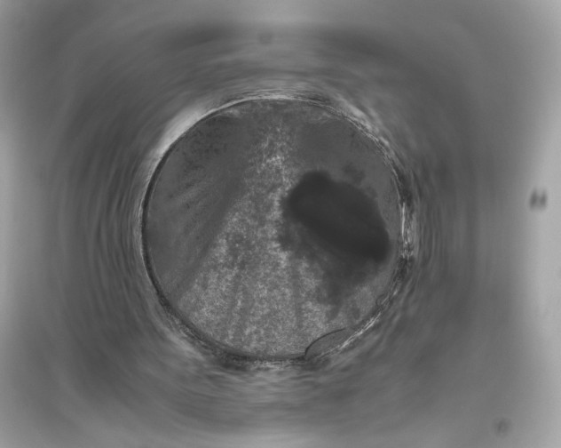 X0000094820099200711301638