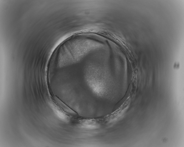 X0000094820100200711301638