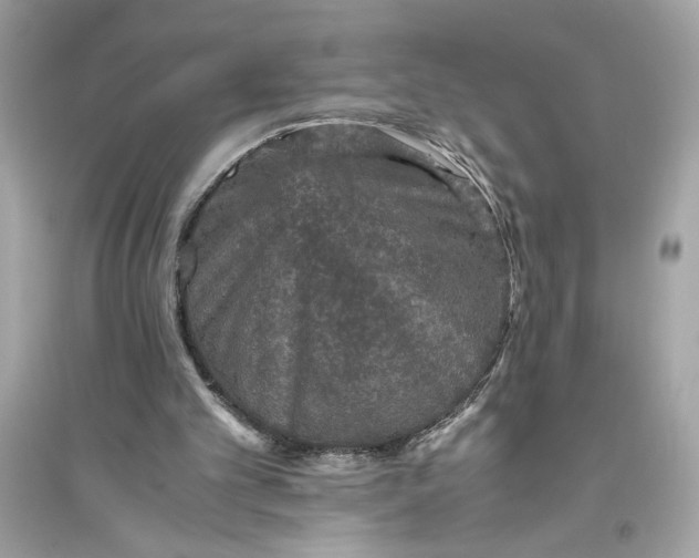 X0000094820101200711301638