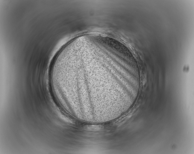 X0000094820102200711301638