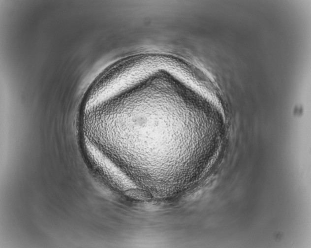 X0000094820103200711301638