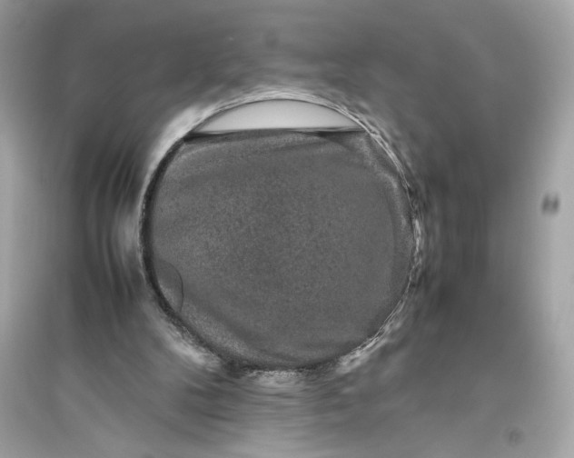 X0000094820104200711301638