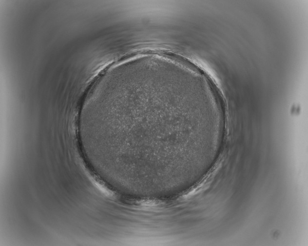 X0000094820105200711301638