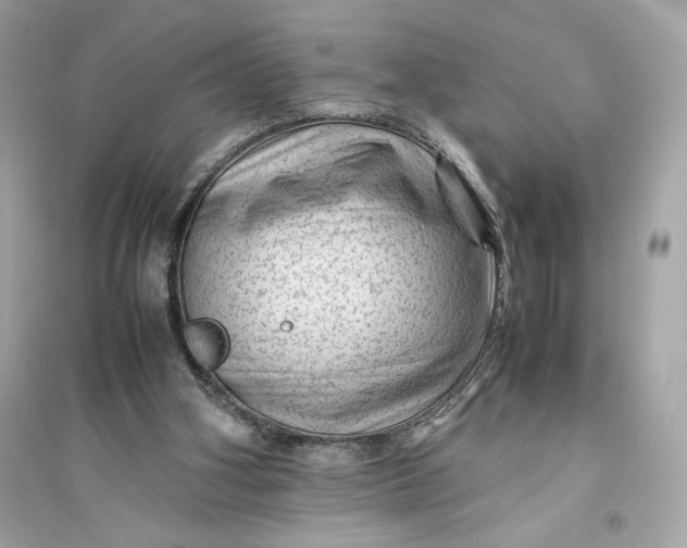 X0000094820106200711301638