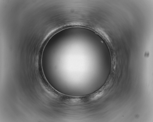 X0000094820108200711301638