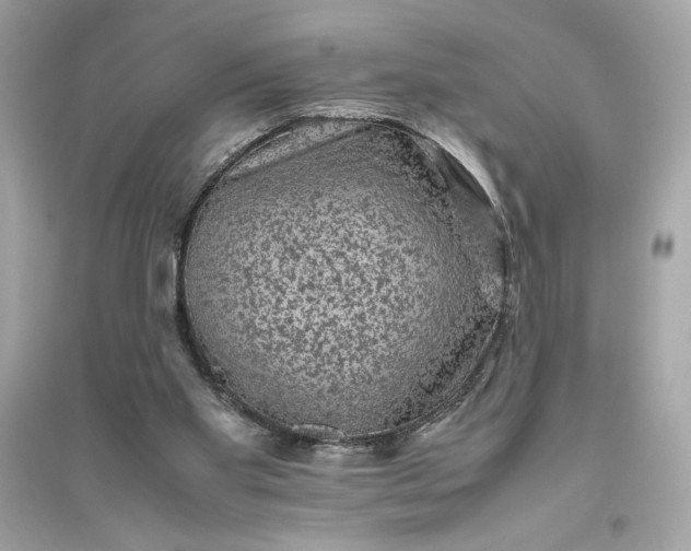 X0000094820109200711301638