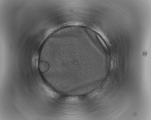 X0000094820110200711301638