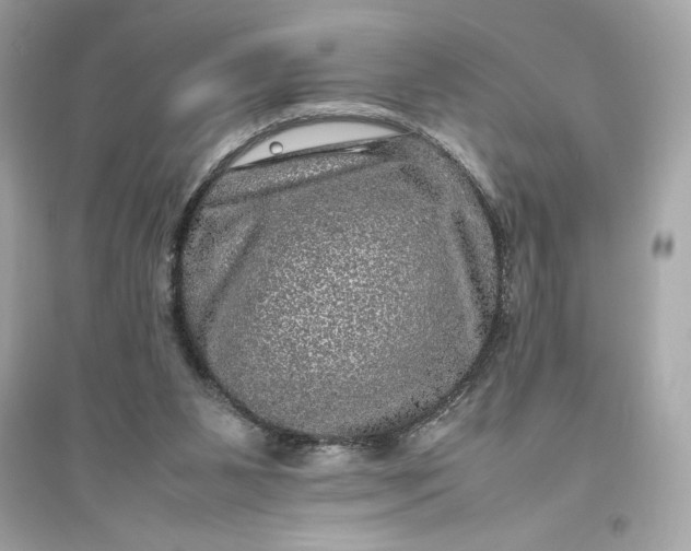 X0000094820111200711301638