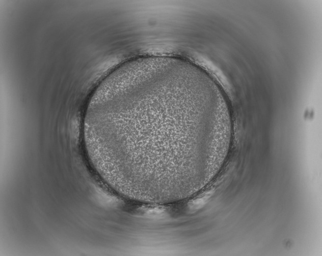 X0000094820113200711301638